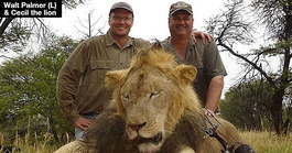 walt-palmer-kills-cecil-the-lion-lead