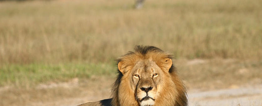 55bd22f91700002500566484