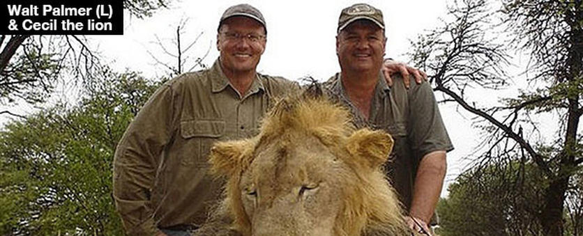 walt-palmer-kills-cecil-the-lion-lead